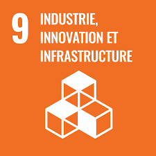 SDG9
