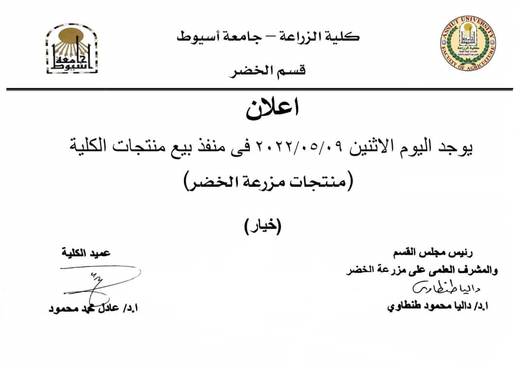 الريادة