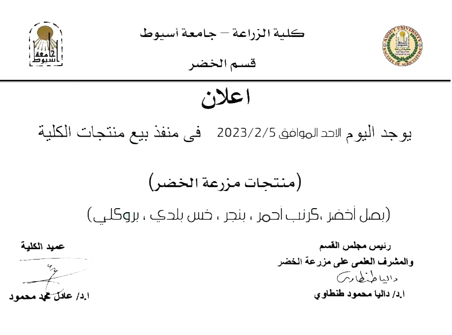 العميد