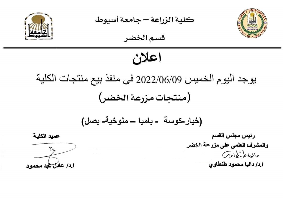 البدروم