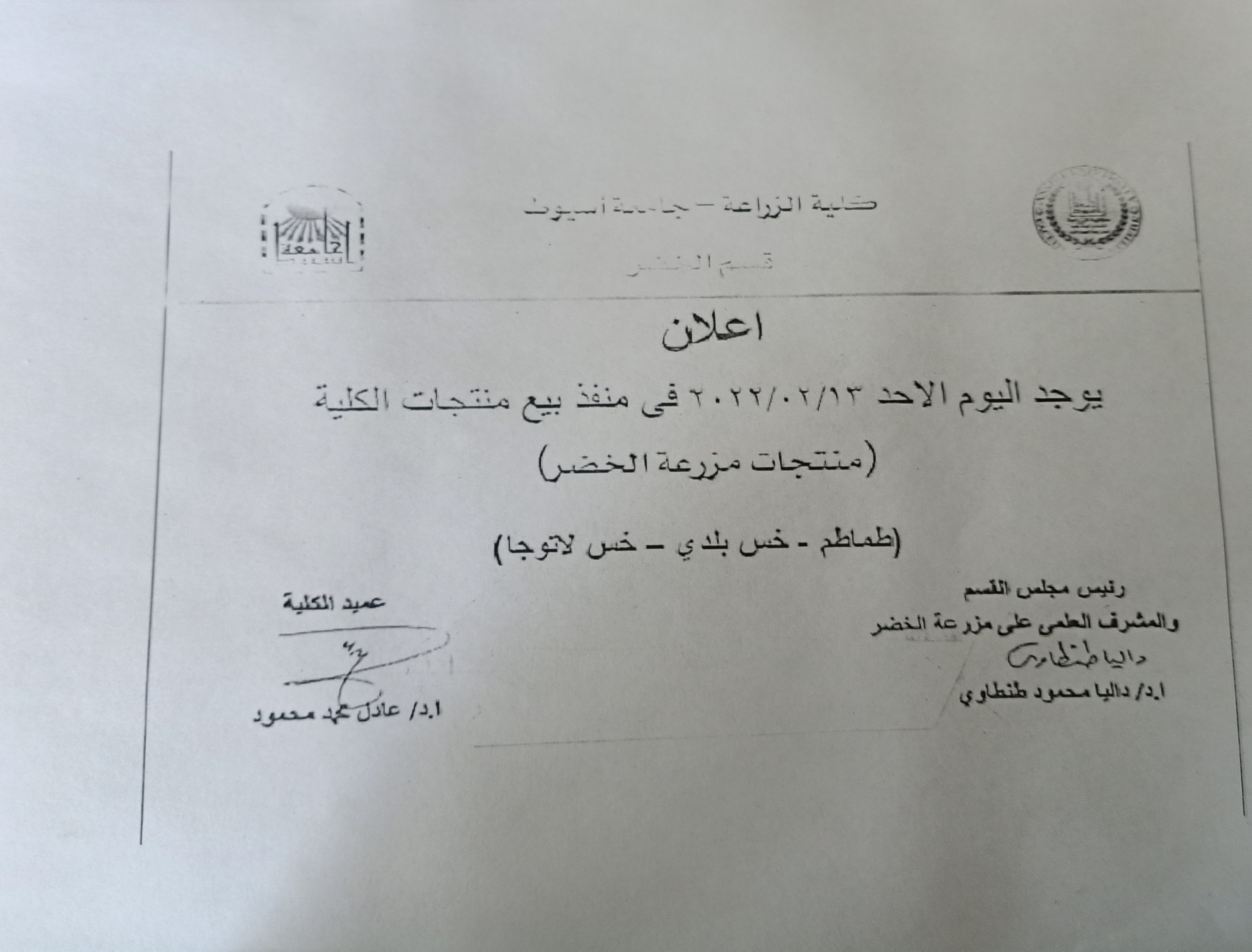 طماطم 