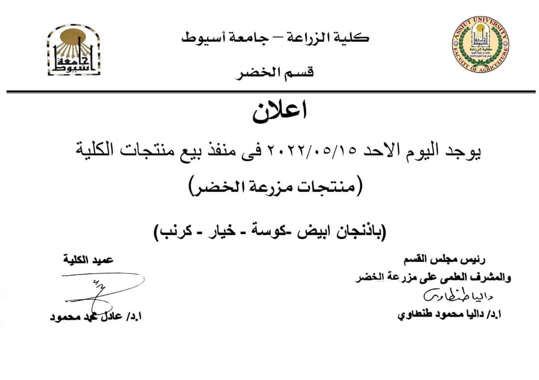 الريادة