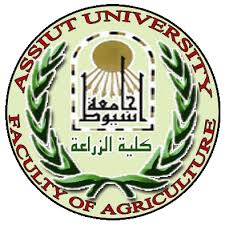 الريادة
