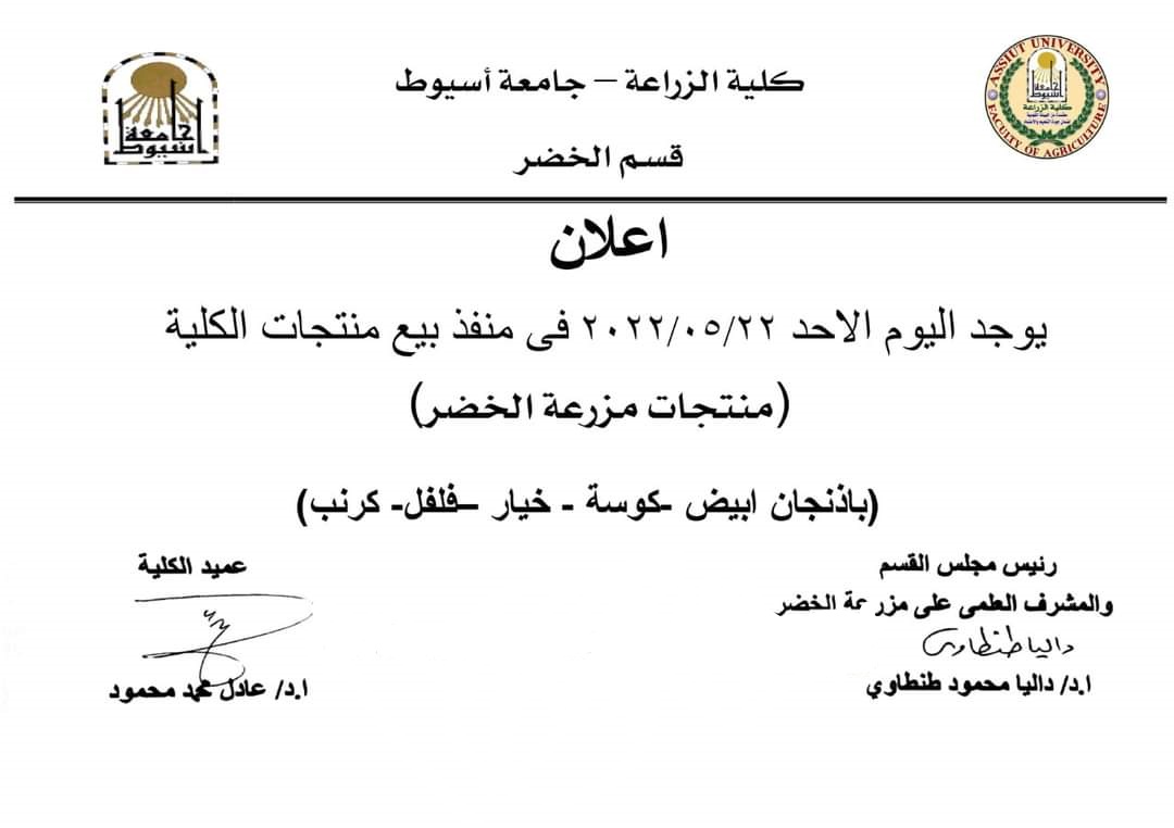الريادة