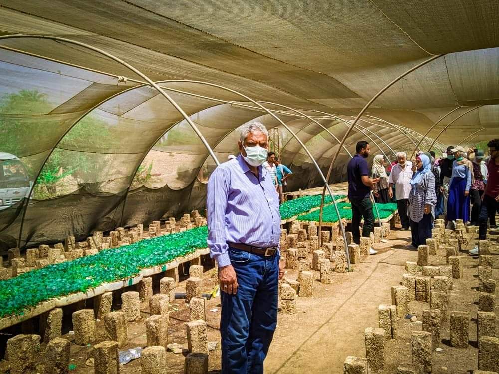 تنمية