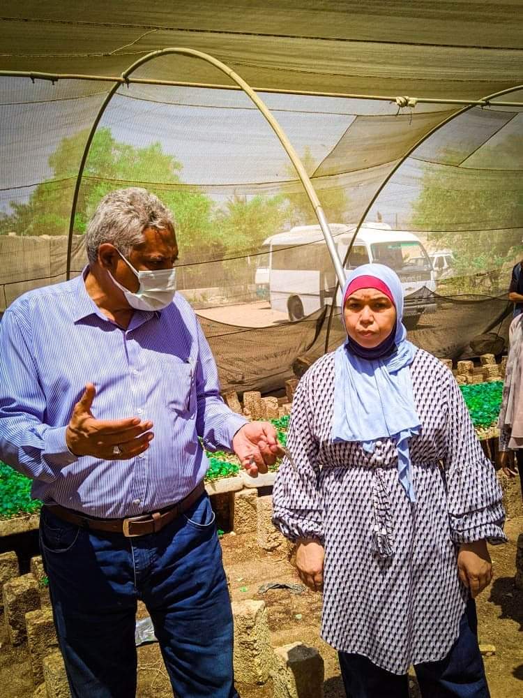تتنمية