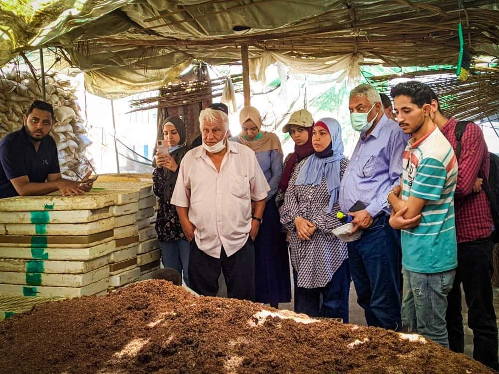 تنمية