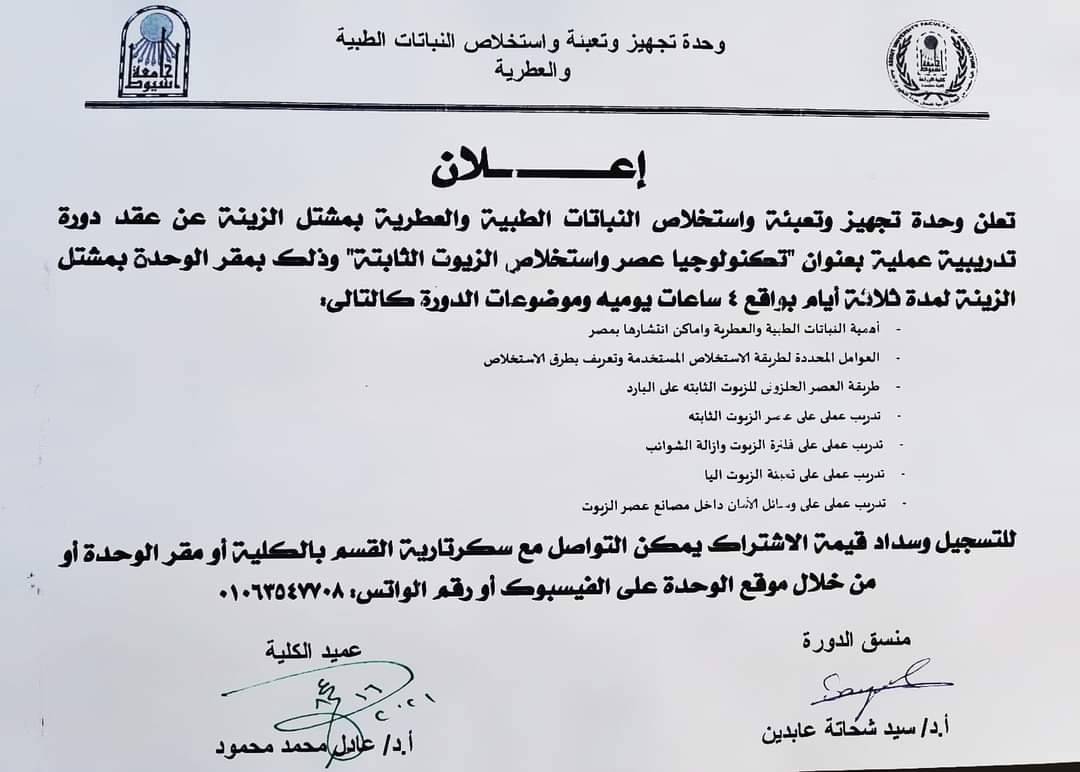 نباتات