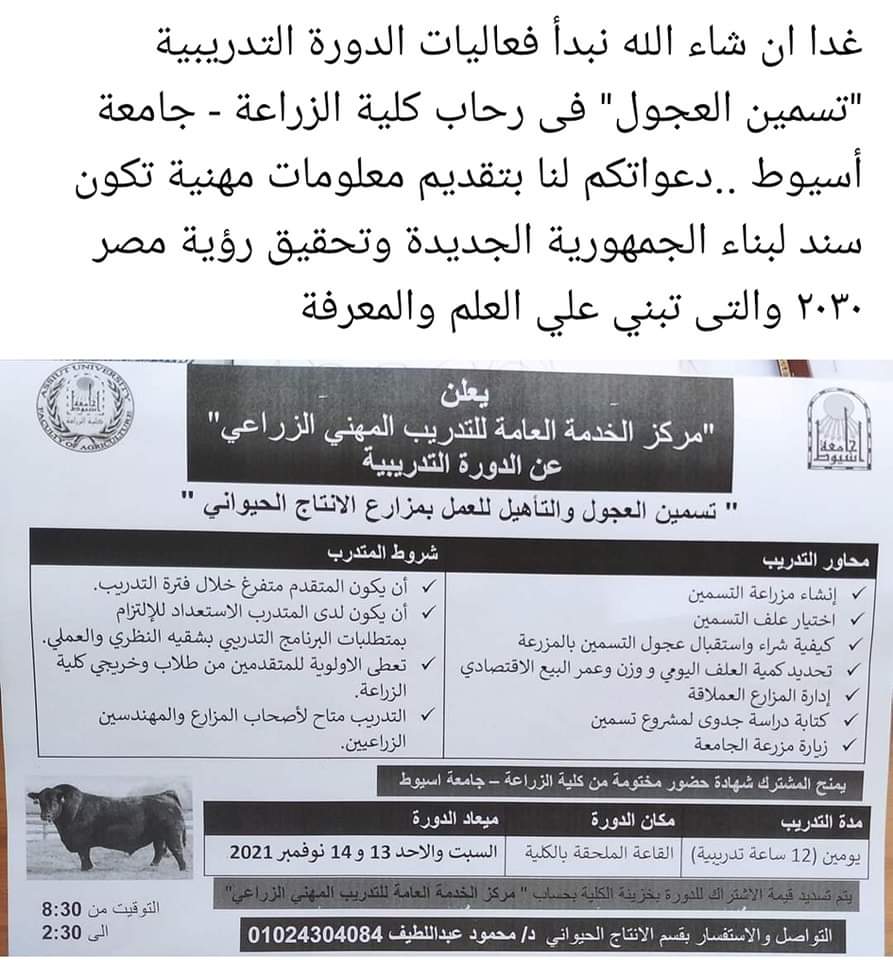 هي
