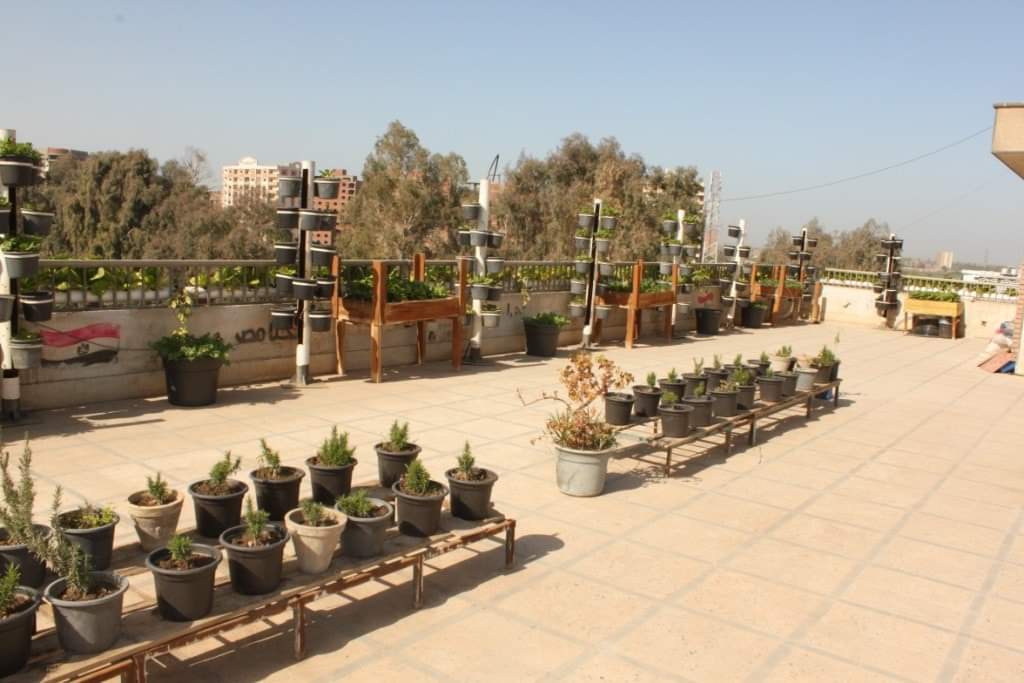 الزيارة 5