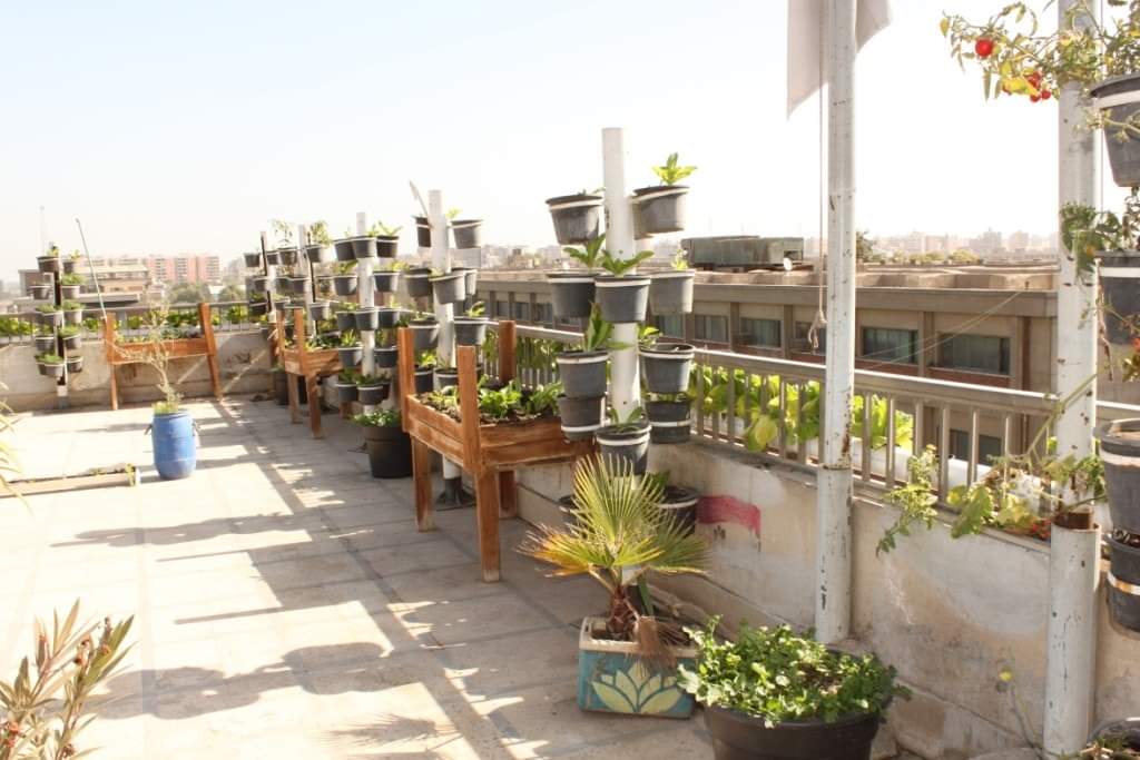الزيارة 7