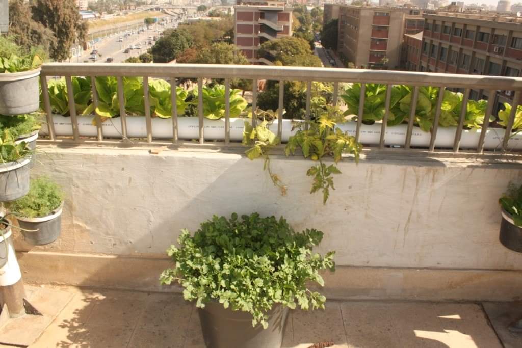 الريادة