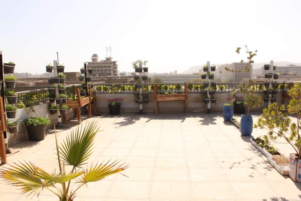 الزيادة