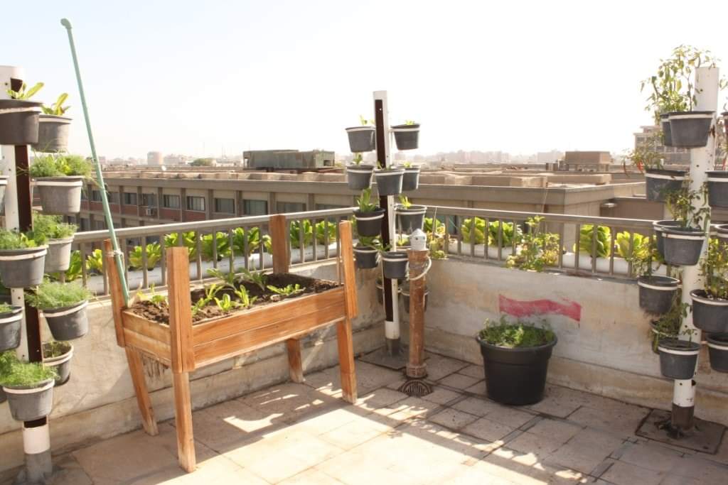 الريادة