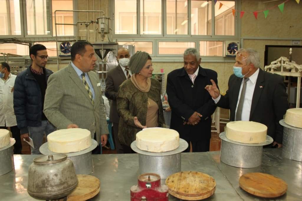 الالبان2