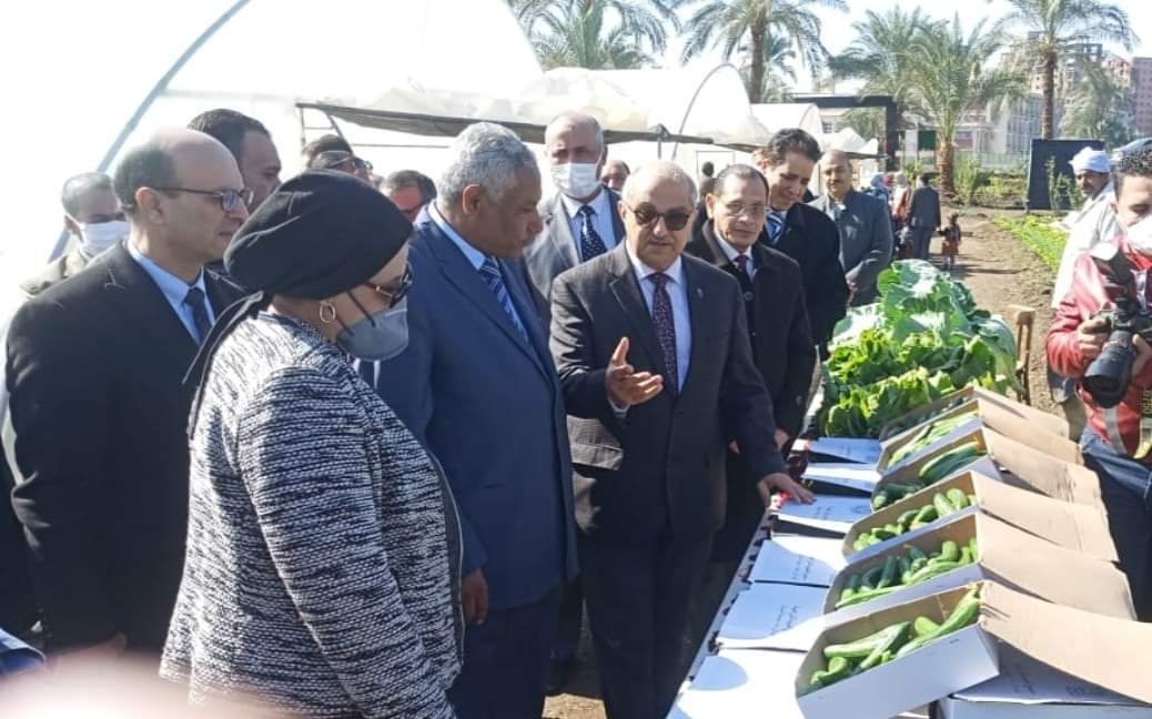 العميد