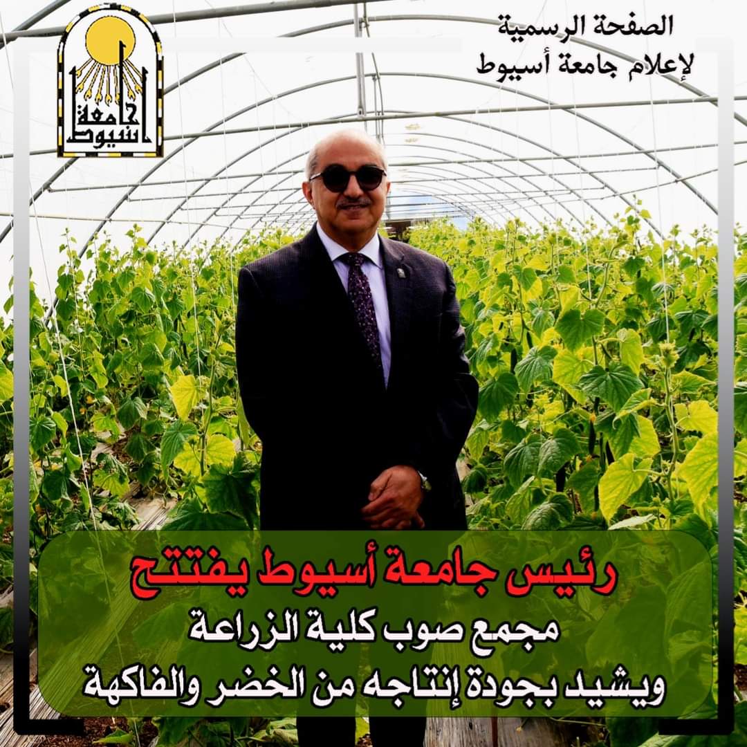 العميد