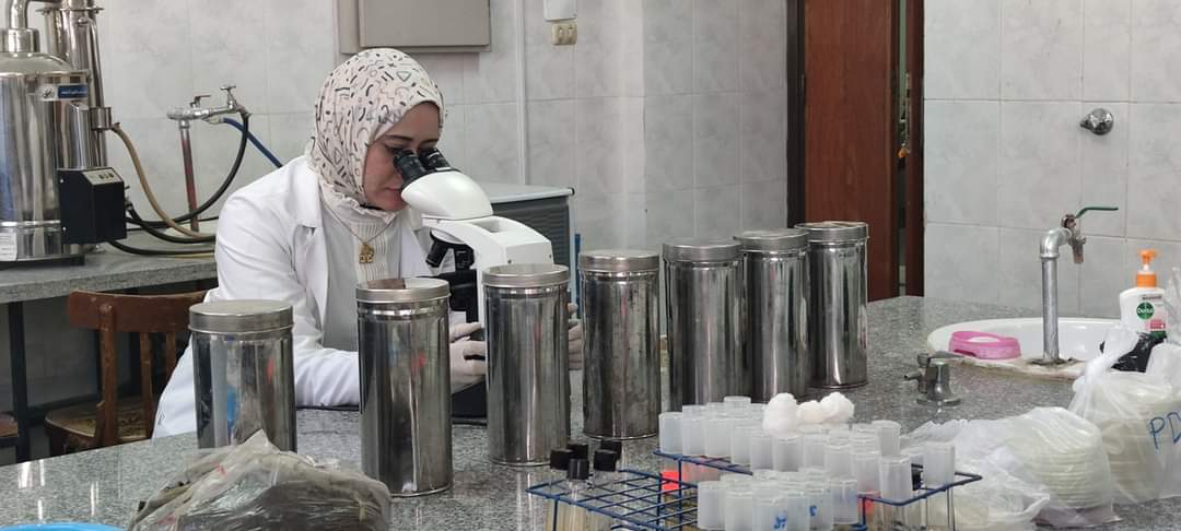 العميد