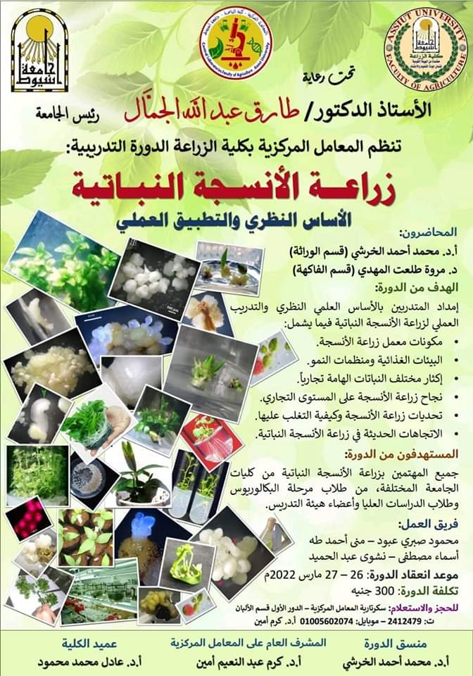 الريادة
