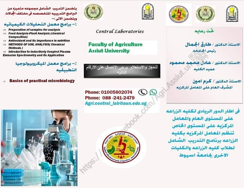 الريادة