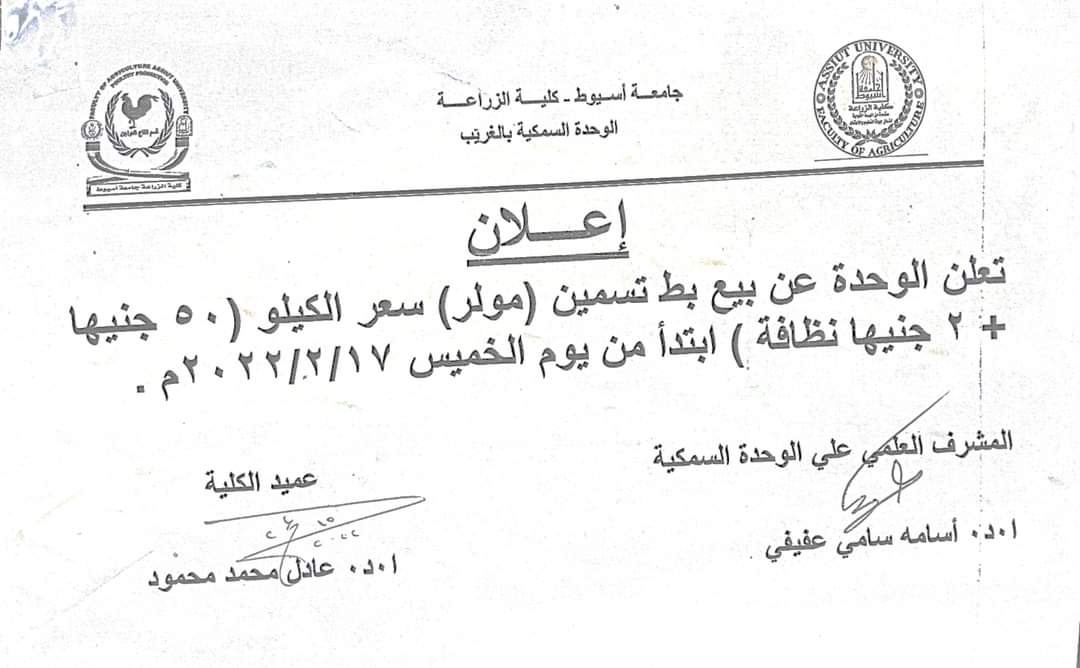 الريادة
