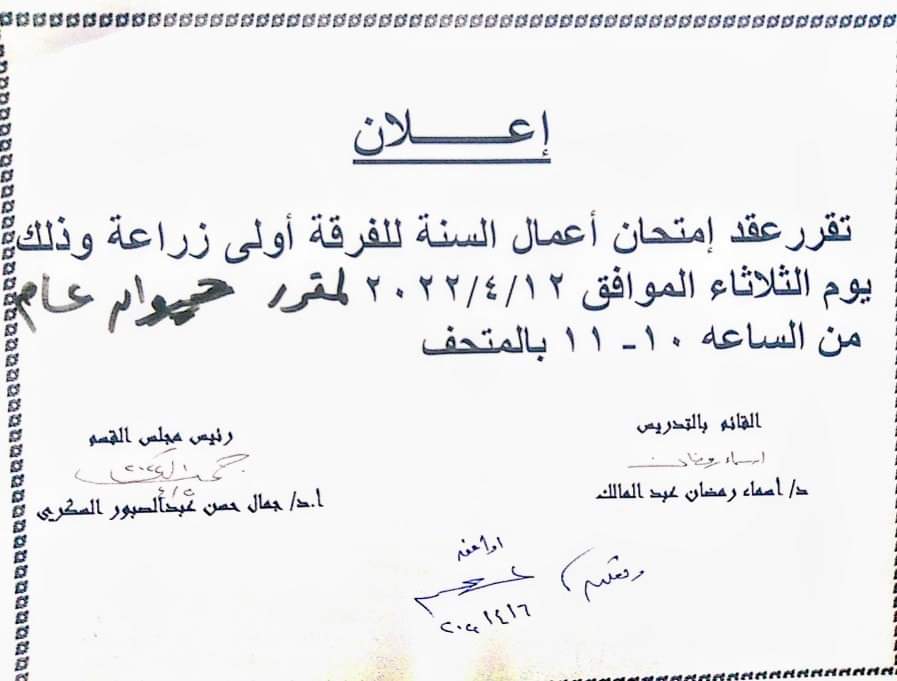 الريادة