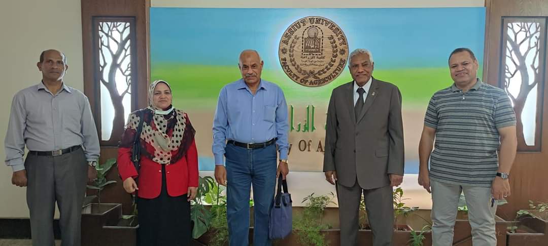 النور