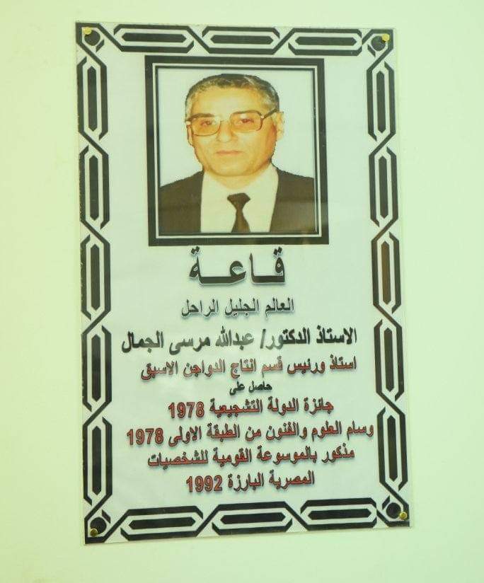 الريادة