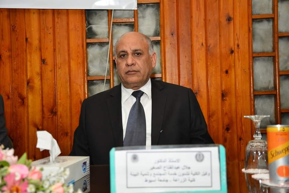 الريادة