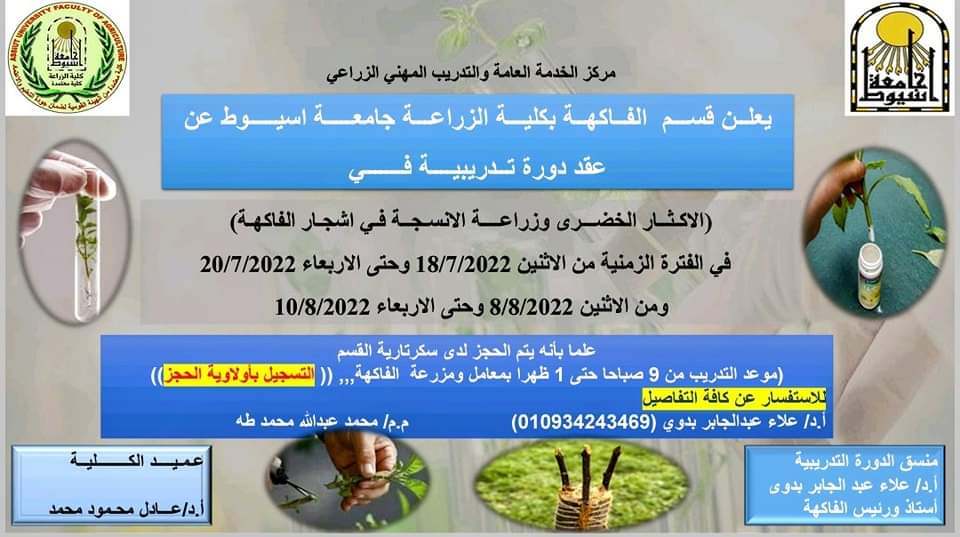 العميد