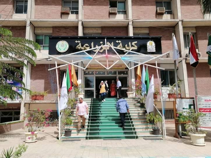 العميد