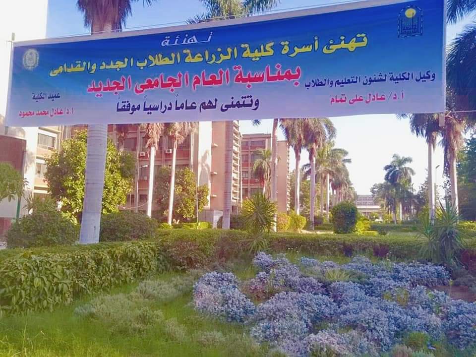 العميد
