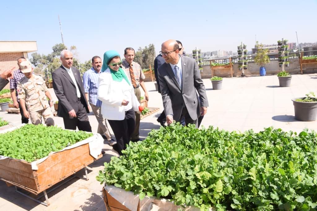 العميد