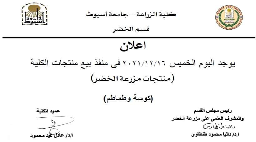 طماطم 4