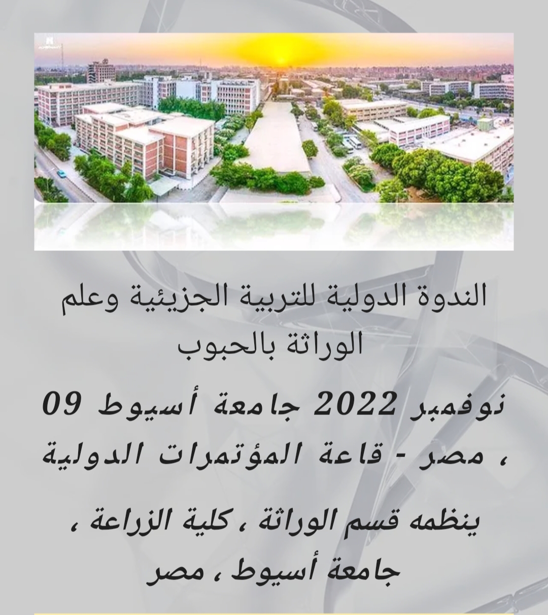 العميد