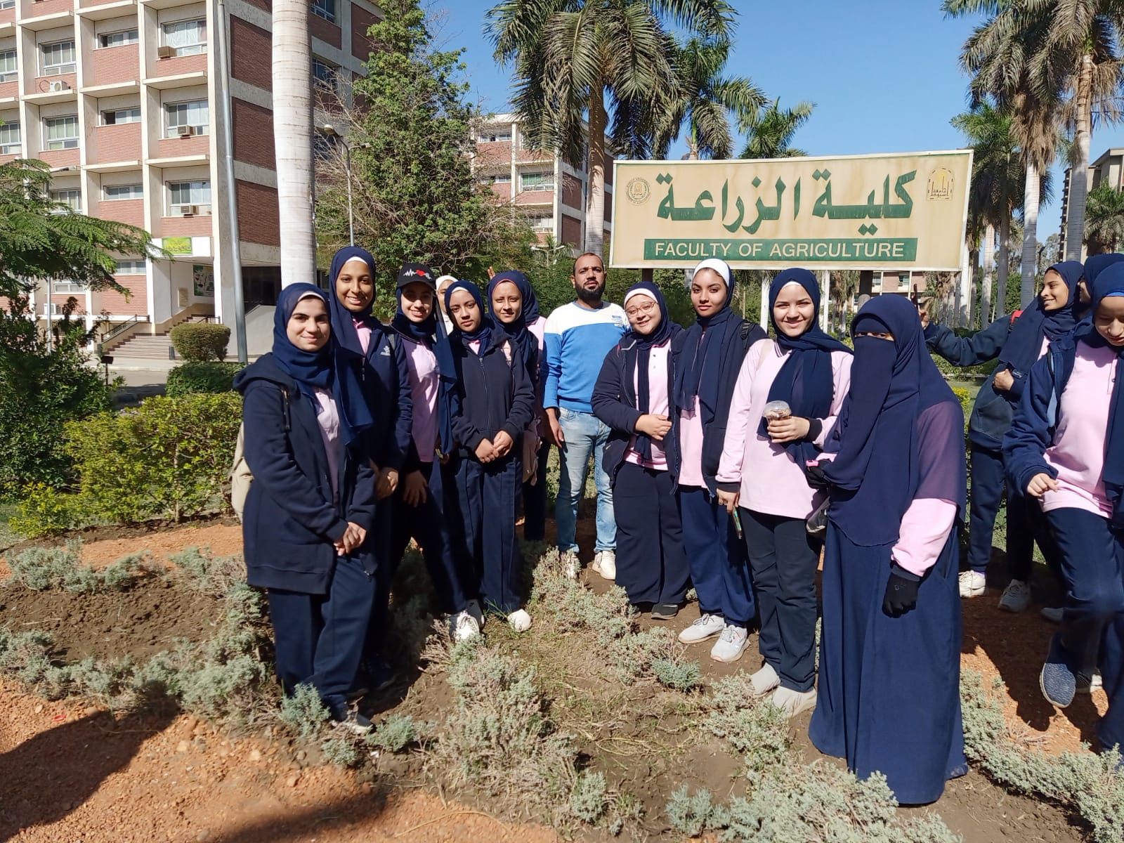 العميد