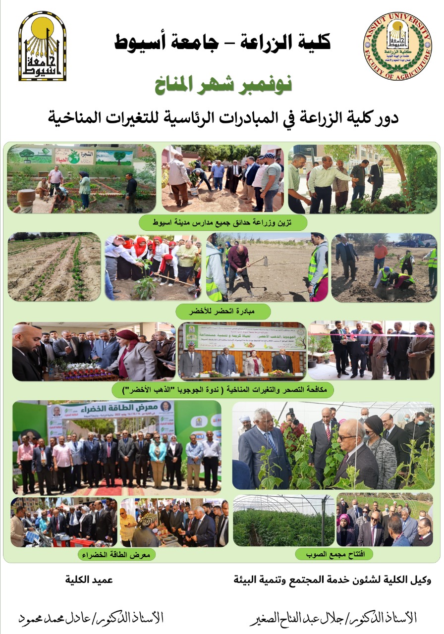 العميد