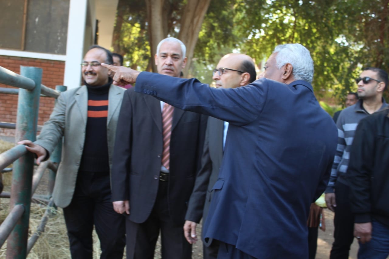 العميد