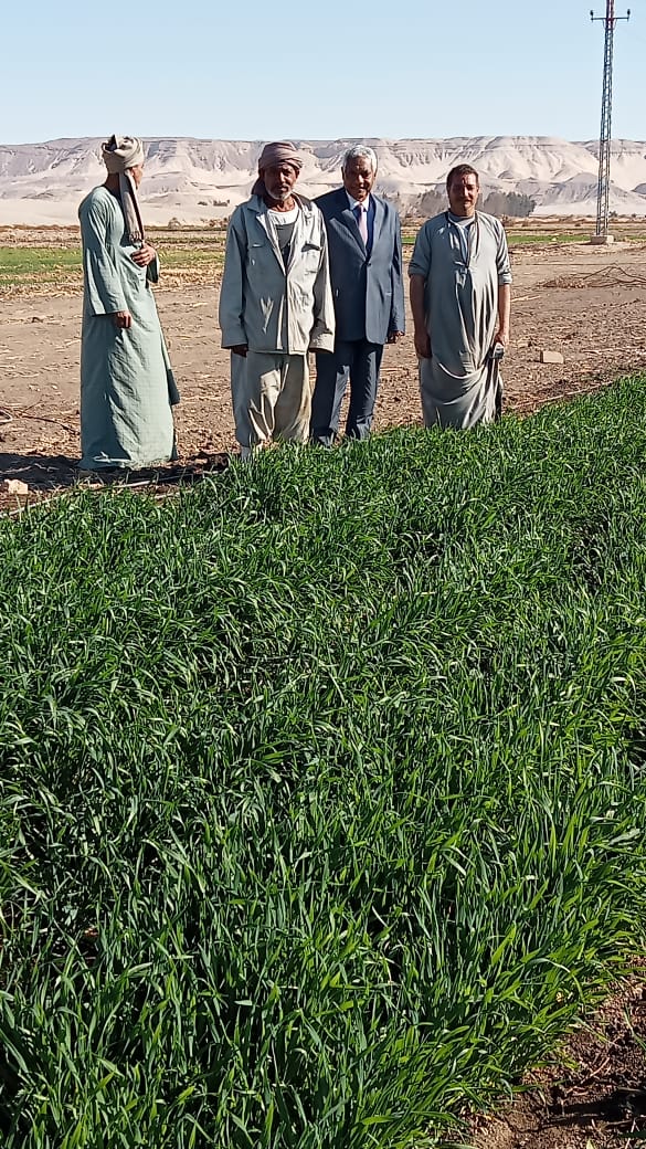 العميد