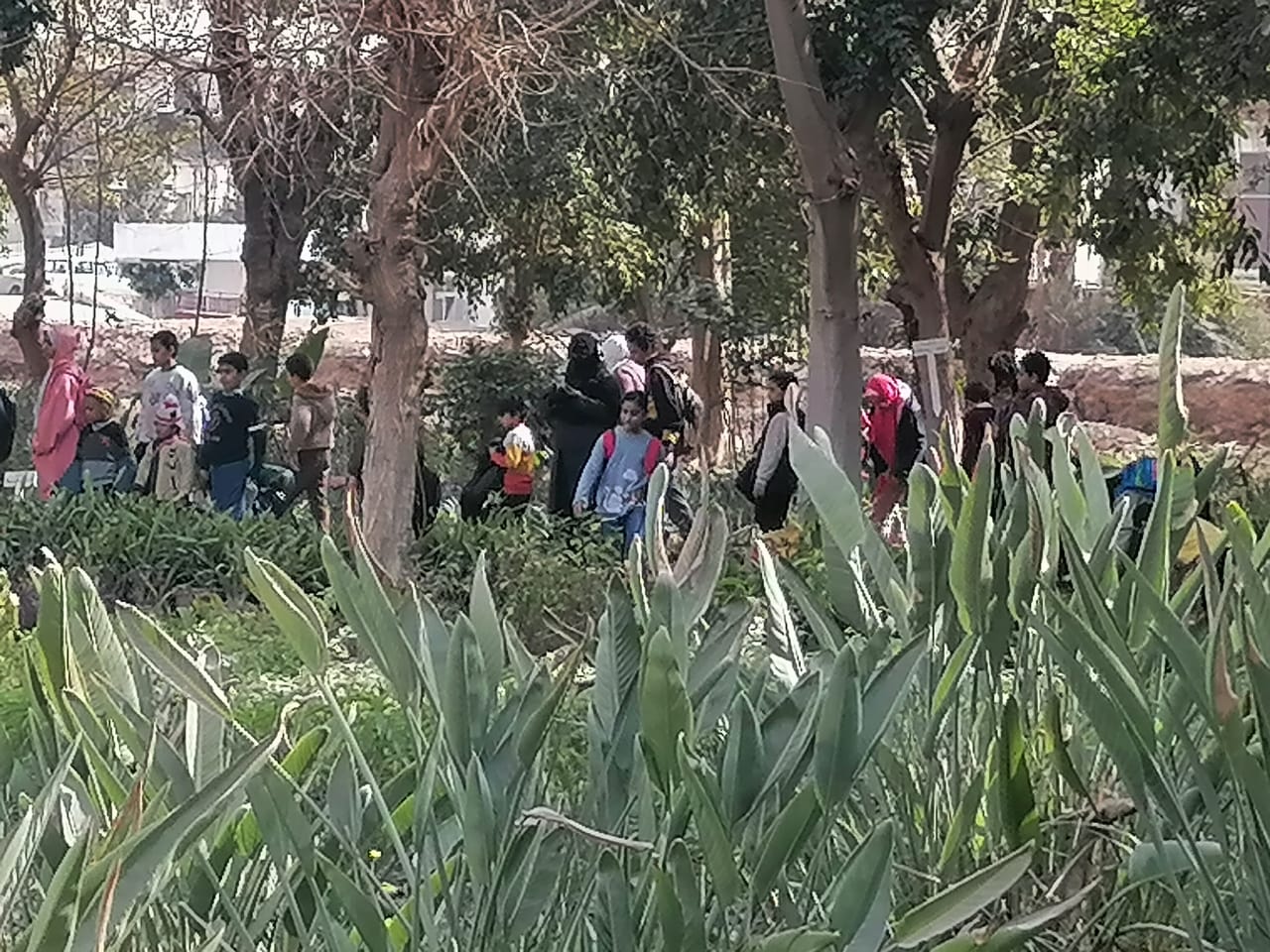 العميد