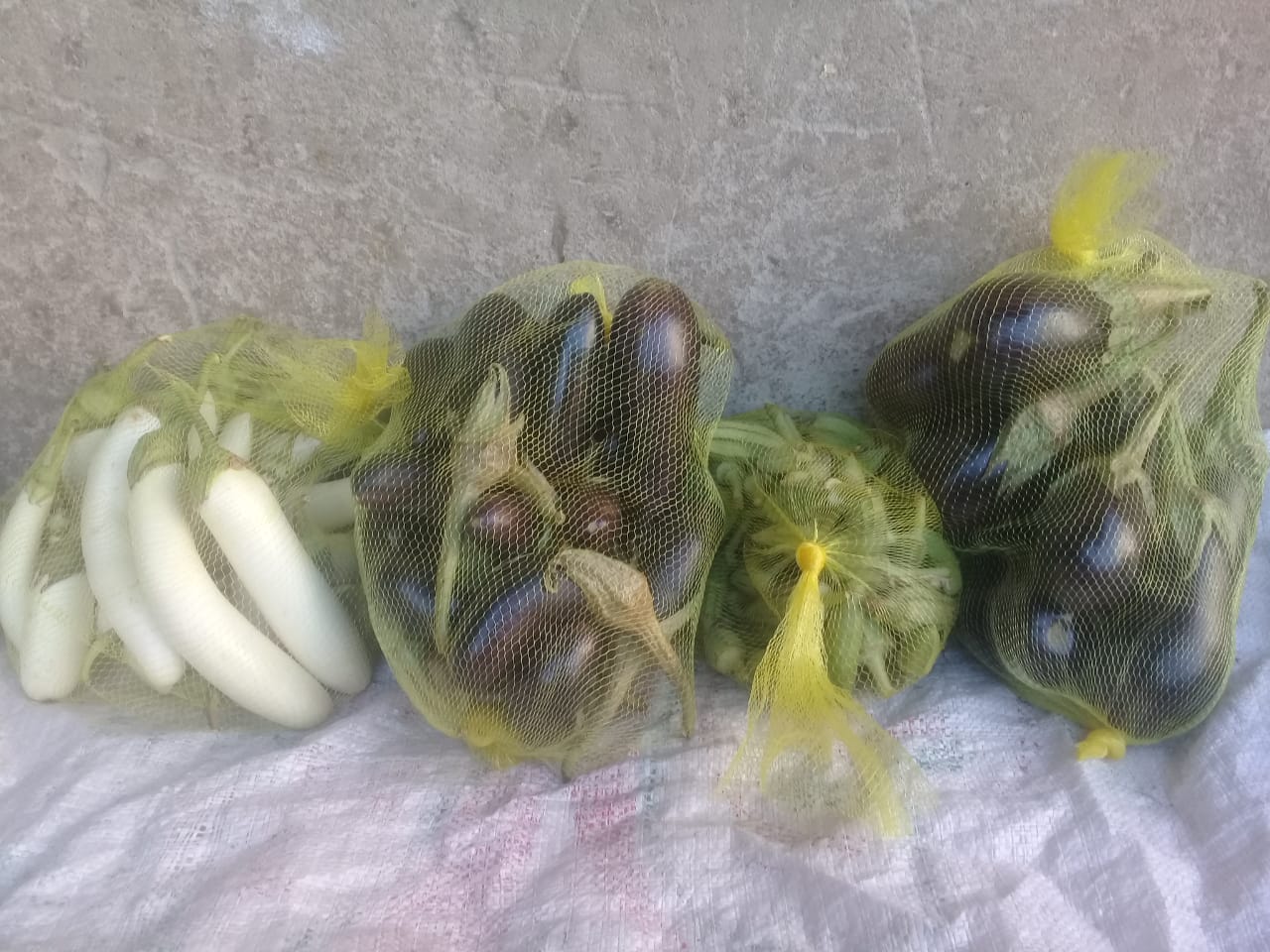 الطلاب