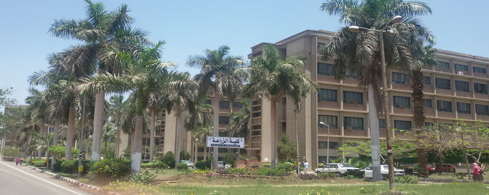 Faculty Of Agriculture Library