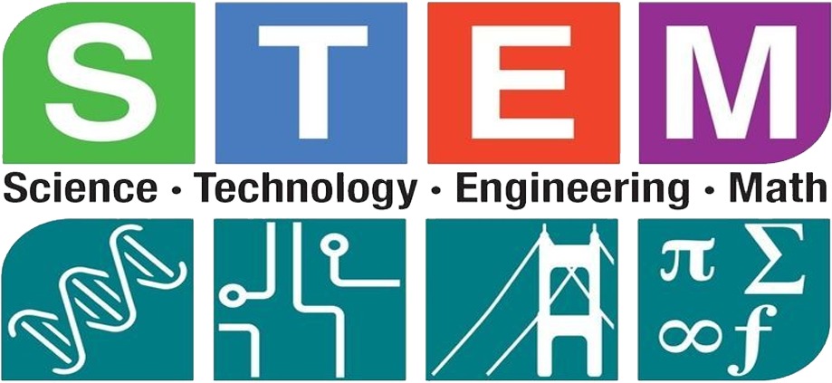 stem