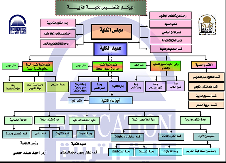 Organizational Structure