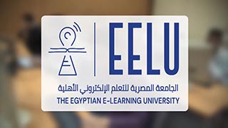 The Egyptian E-Learning University