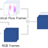 Video Violence Detection Network Using Optical Flow and RGB Data