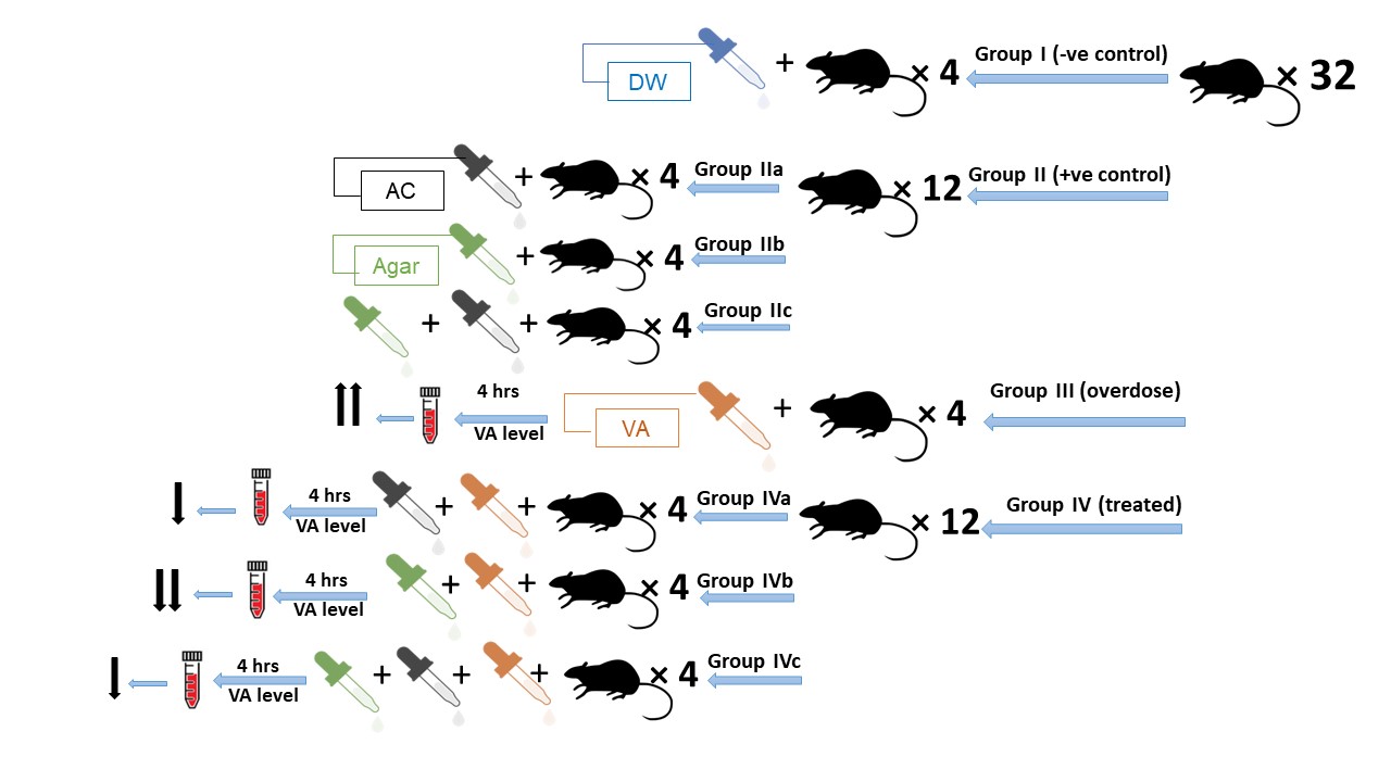 graphical abstract