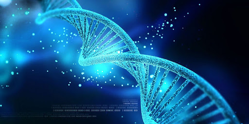 Department of Molecular Biology