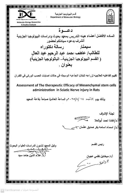 عاطف احمد