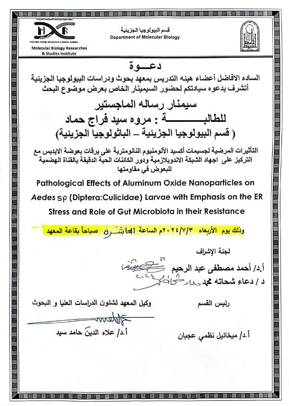 مروة5